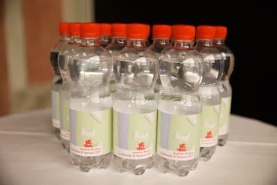 Fundraising-Dinner 2016